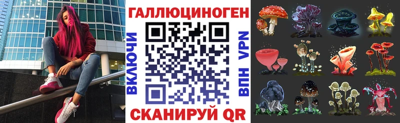 Галлюциногенные грибы Psilocybe Волхов